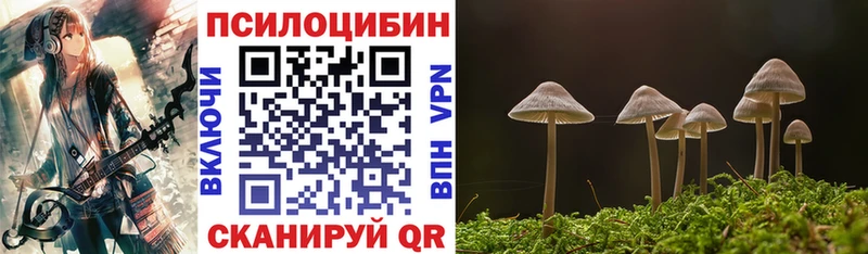 Галлюциногенные грибы ЛСД  где продают наркотики  Черемхово 